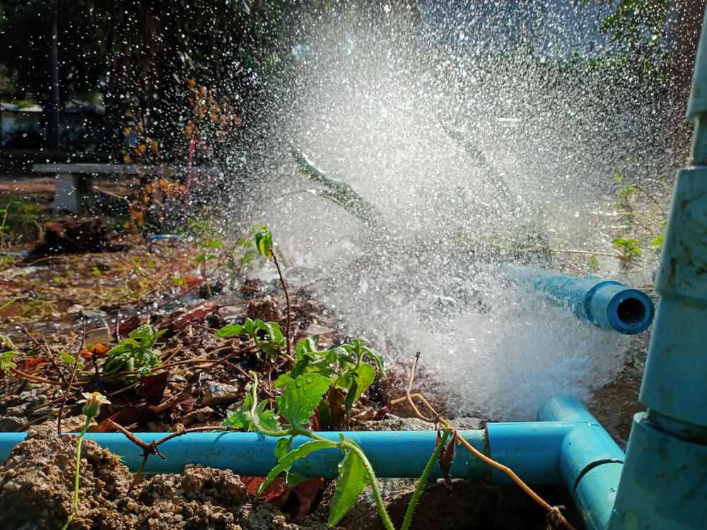What to Expect: The Process and Cost of Water Line Repair Services 1 What to Expect: The Process and Cost of Water Line Repair Services