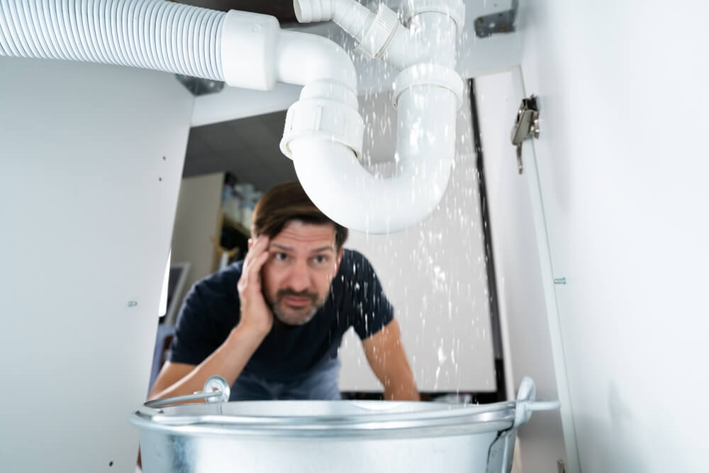 Drain & Sewer