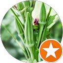 Joel Brian Isaac Jr. profile picture